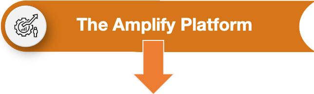 At Amplify, we excel in identifying market opportunities and formulating business expansion plans globally. Primarily designed for Globalizers, our platform seamlessly integrates a specialized Amplify Startup Program. 